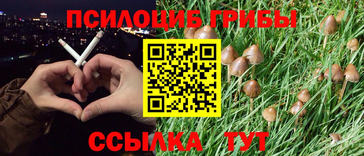 Галлюциногенные грибы GOLDEN TEACHER Рассказово
